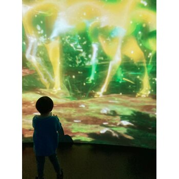 i067509687 図鑑ミュージアム^ ^_20211211_1