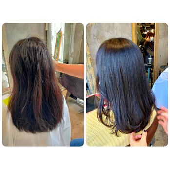 シルクストレート_20220306_1