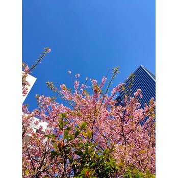 花粉症が辛い季節ですね…_20220316_1