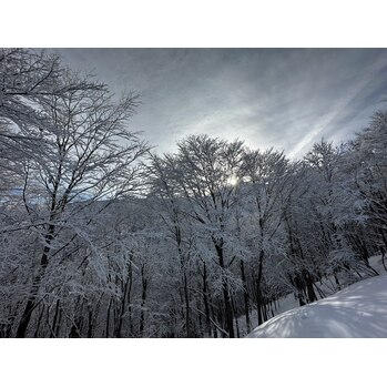 i082889215 雪山に行ってきました!_20230123_3