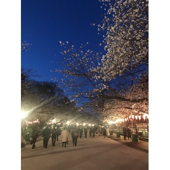 i045118025 寒い寒い夜桜はとっても綺麗でした!_20200325_1