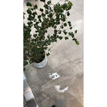 GWのカワイイ植物！_20200501_1