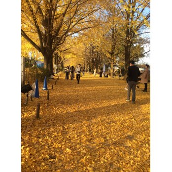 黄葉見に行ってきました_20201120_1