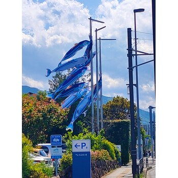 小田原かまぼこの里_20220506_1