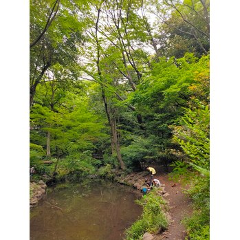 ザリガニ釣り_20220522_1