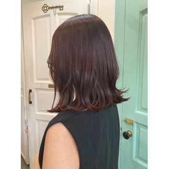 艶々、ココアブラウン☆_20220902_1