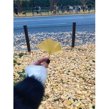 秋を感じてきました～_20221124_1