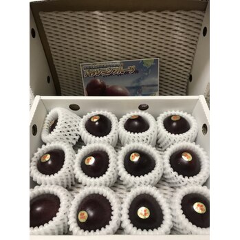 パッションフルーツ_20200731_1