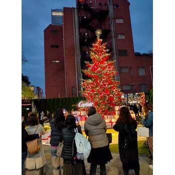 カルティエのクリスマスツリー_20211206_1