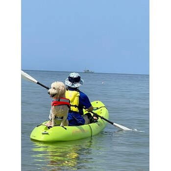 キム・チャミちゃん！_20220912_1