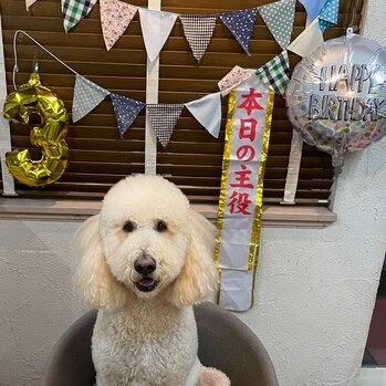 愛犬チャミちゃん♪_20221029_1