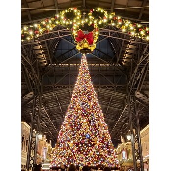 Disney land  ☆_20221201_1