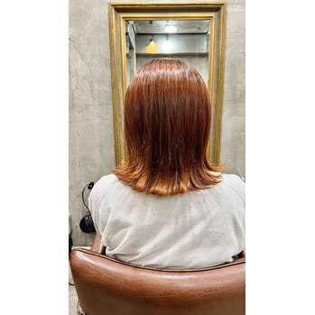 i073593892 アプリコットオレンジ_20220526_1