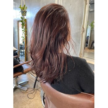 大人気の『こぐまカラー』つやつや上品です！_20230113_1