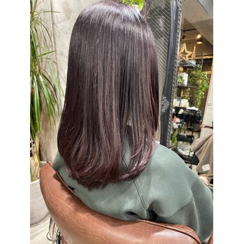 大人気の『こぐまカラー』つやつや上品です！_20230113_4