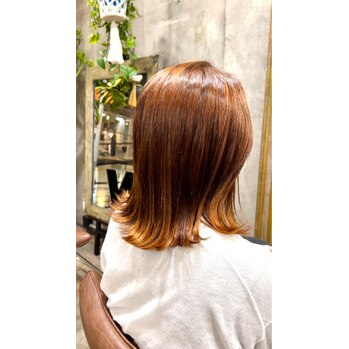 i073593907 アプリコットオレンジ_20220526_2