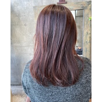 大人気の『こぐまカラー』つやつや上品です！_20230113_2