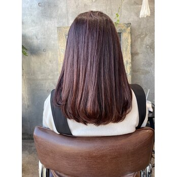 i098075326 大人気のピンク、パープル系カラー_20240109_1